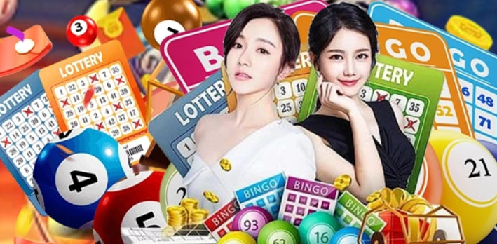 qq88