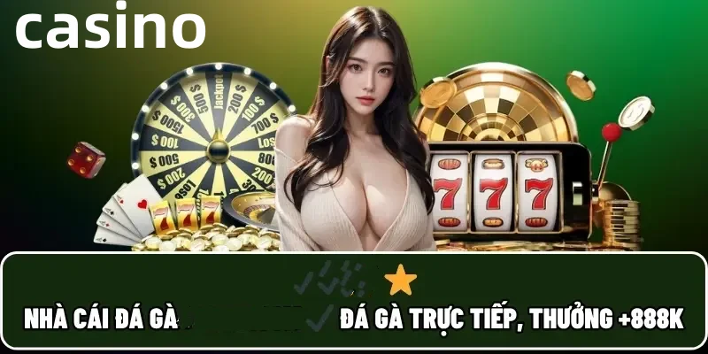 qq88