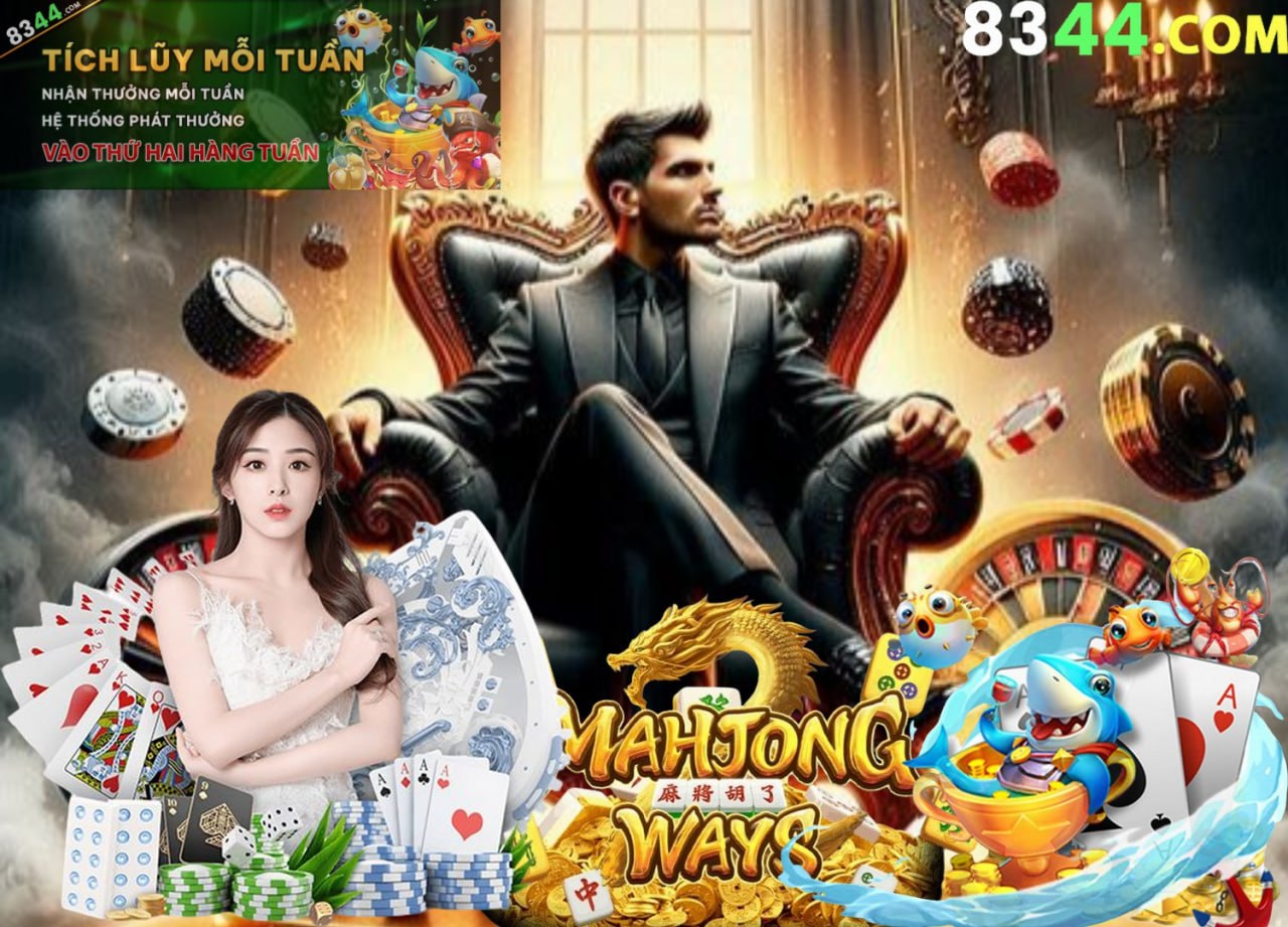 qq88